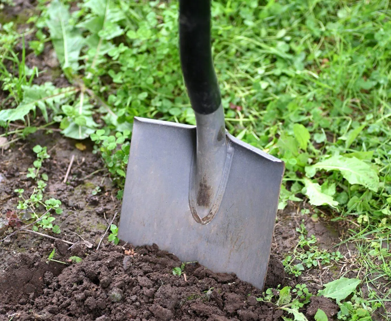 Shovel in Lawn (Photo by Andres Siimon - Unsplash)