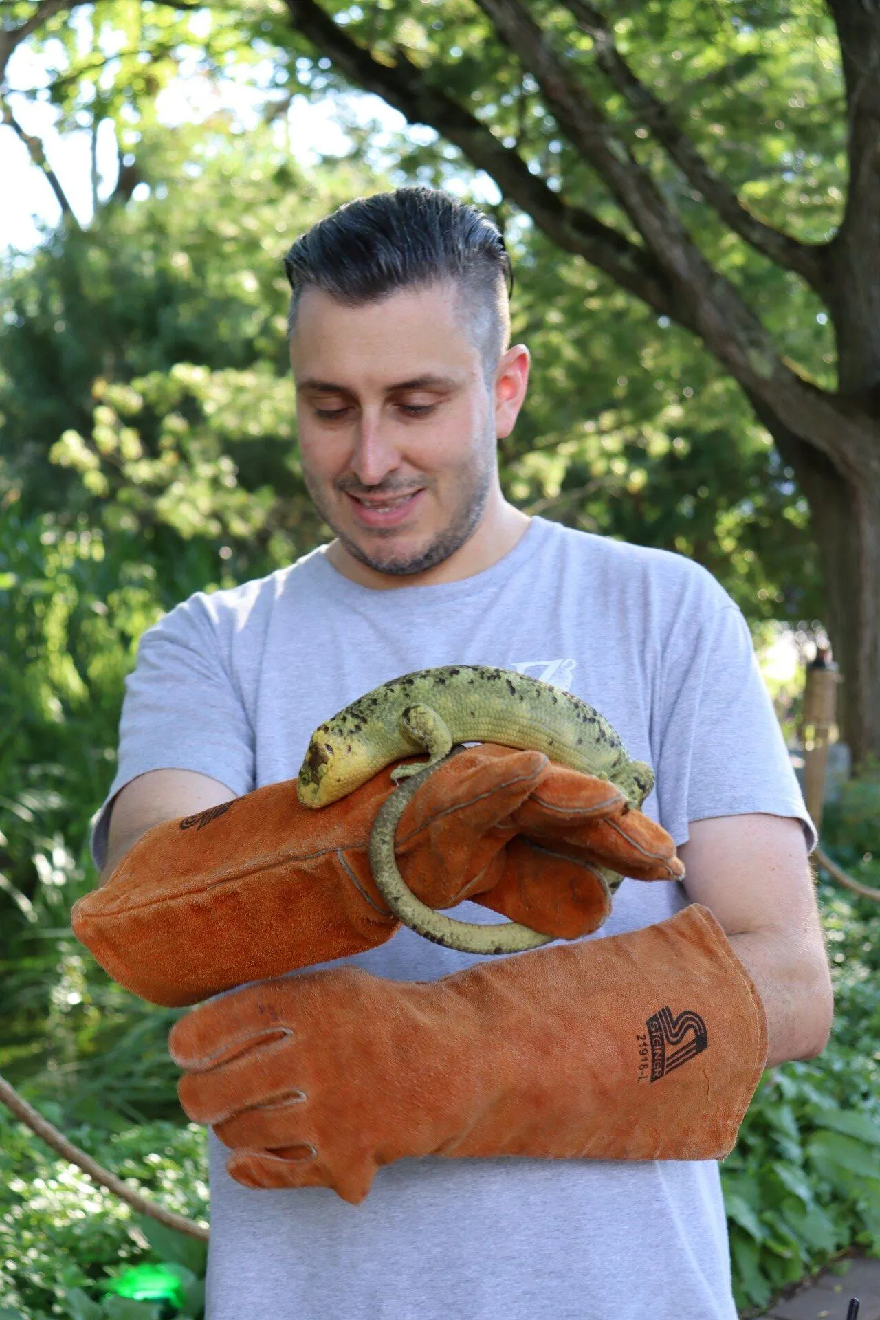 A Utica Zoo employee poses with a skink during an event at the Utica Zoo. Photo by Gino Geruntino.