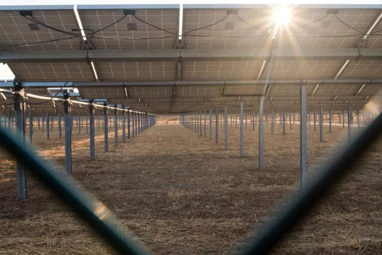 A solar panel shines in the sunlight through a chainlink fence. - KrisTech Wire (Photo via Shutterstock)