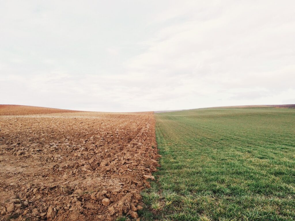 Soil Conditions - Photo by elizabeth lies on Unsplash